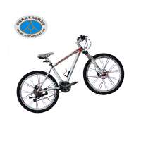 high quality chinese factory direct provided 21 speed mountain bike